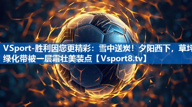 VSport-胜利因您更精彩：雪中送炭！夕阳西下，草坪绿化带被一层霜壮美装点