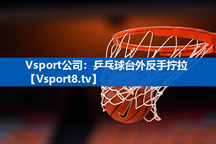 Vsport公司：乒乓球台外反手拧拉