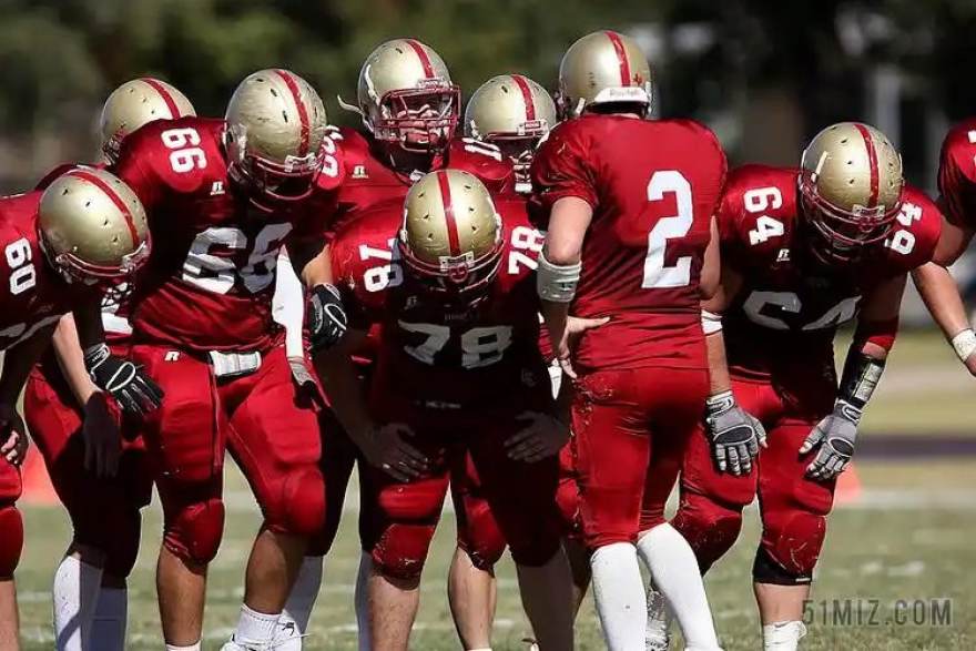 浏览量背后的真相:必一运动热门文章与社区热帖的数据观察